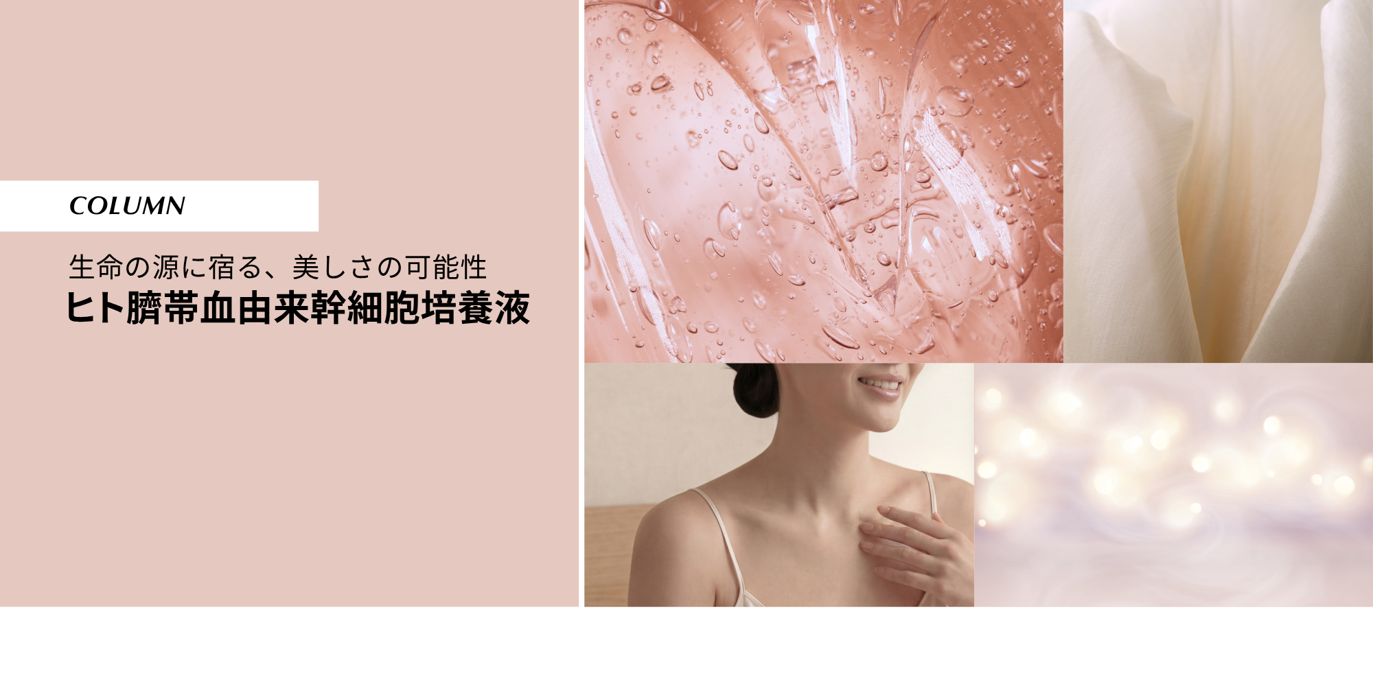 生命の源に宿る、美しさの可能性 「ヒト臍帯血由来幹細胞培養液