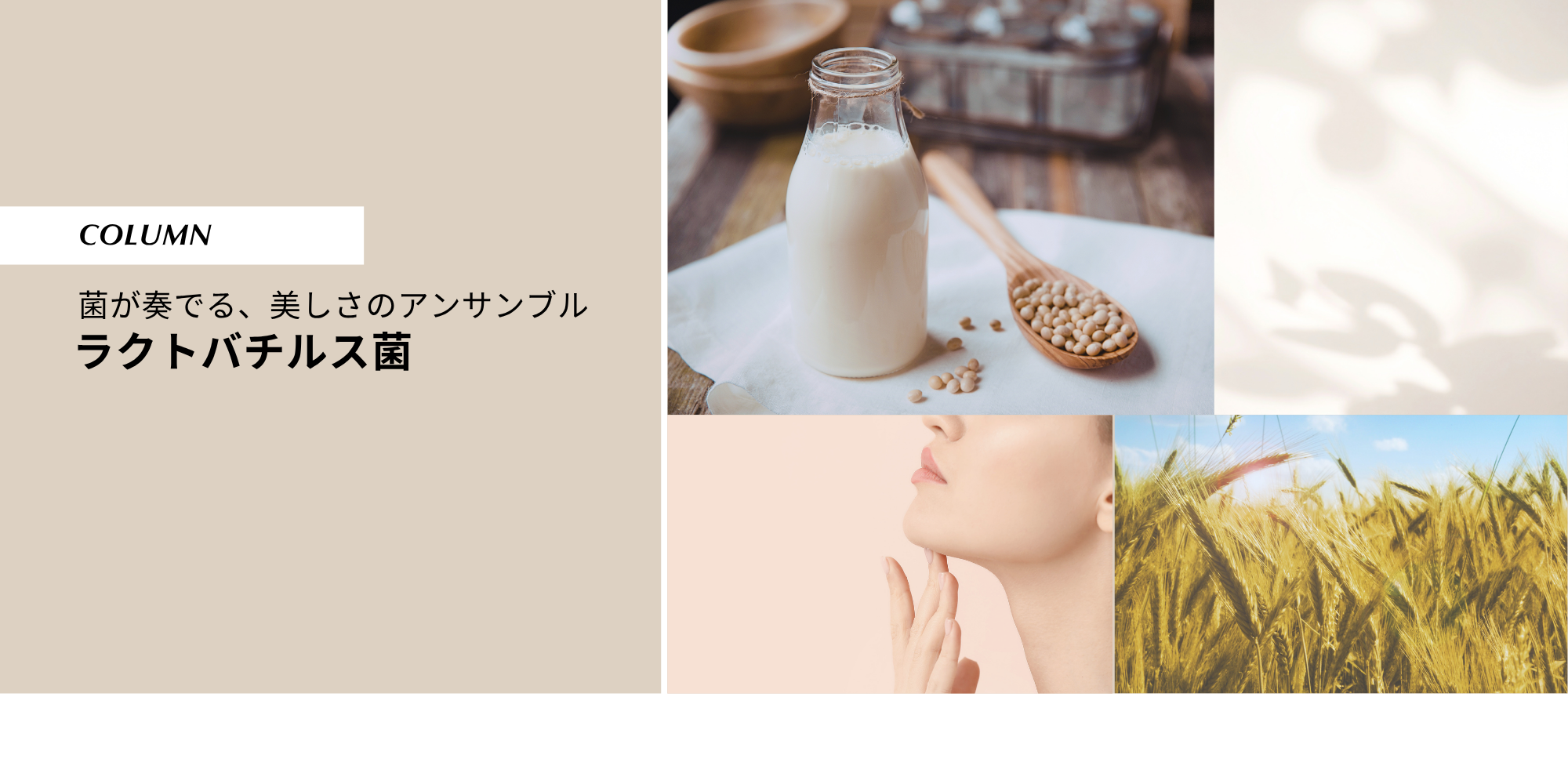 微生物の力で肌をきれいに！ 菌が奏でる、美しさのアンサンブル 「ラクトバチルス菌」 – KNOWYOUR