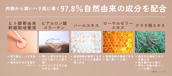 【期間限定価格＋送料無料】Beauty Charge  -Femcare- 6本入(単品)税込